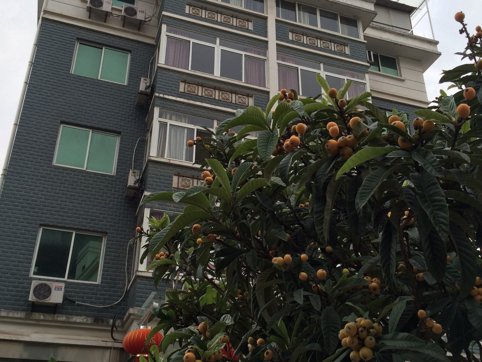 淳安金银岛大酒店