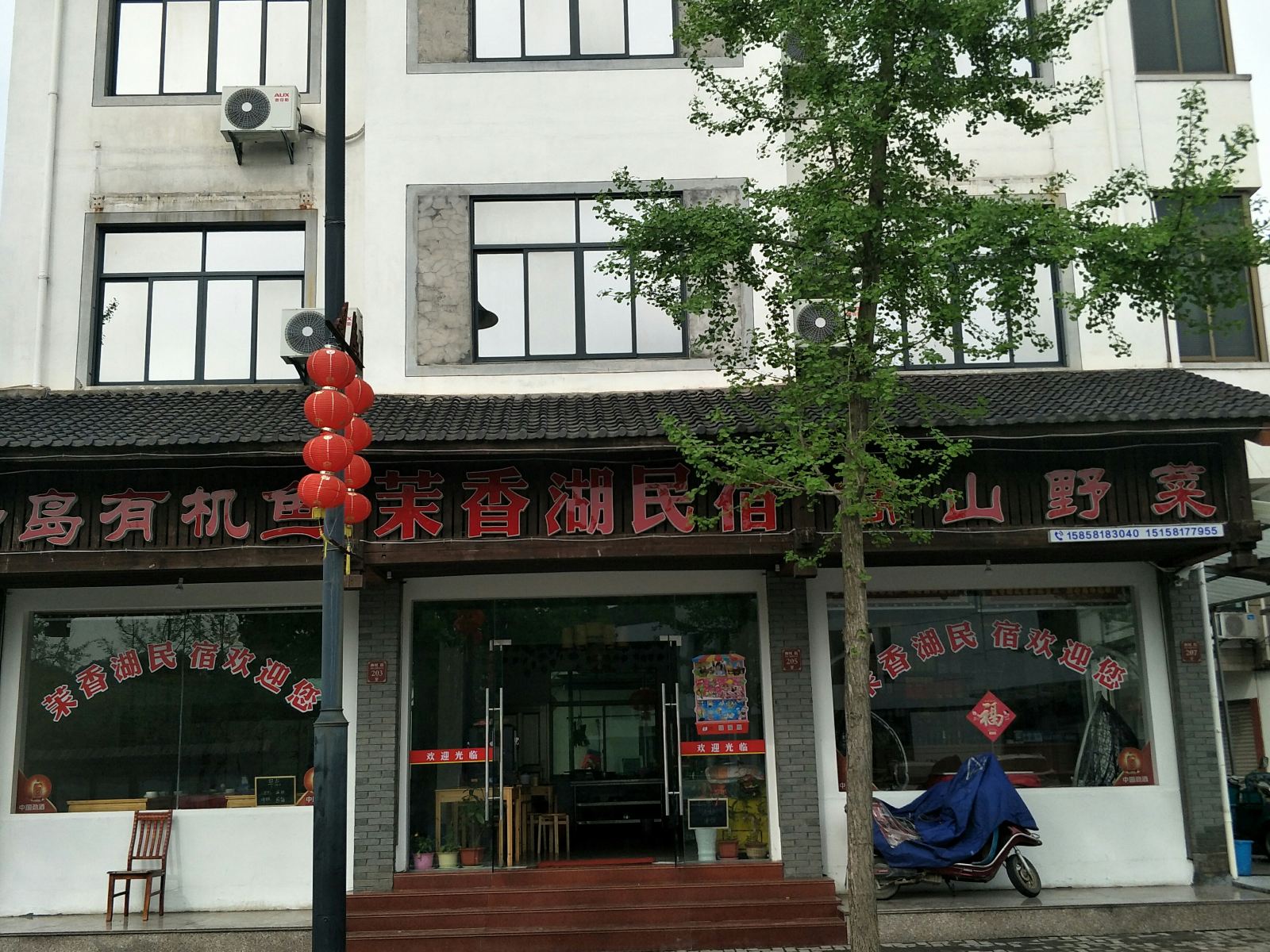 外观