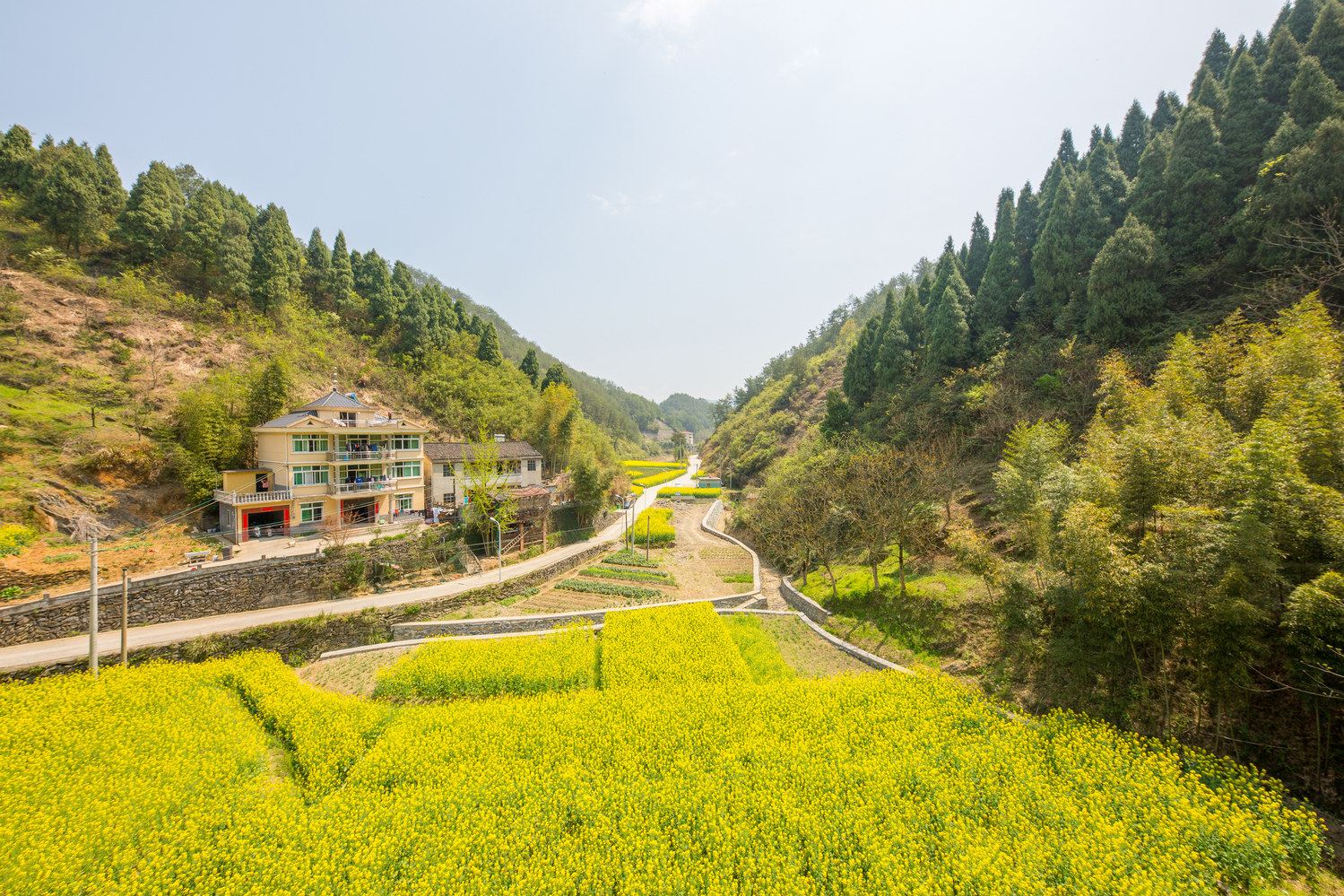 千岛湖珺康农家苑农家乐