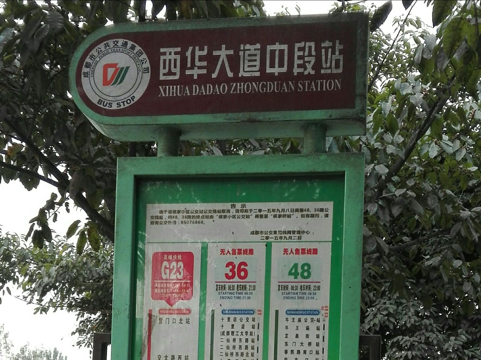 外观
