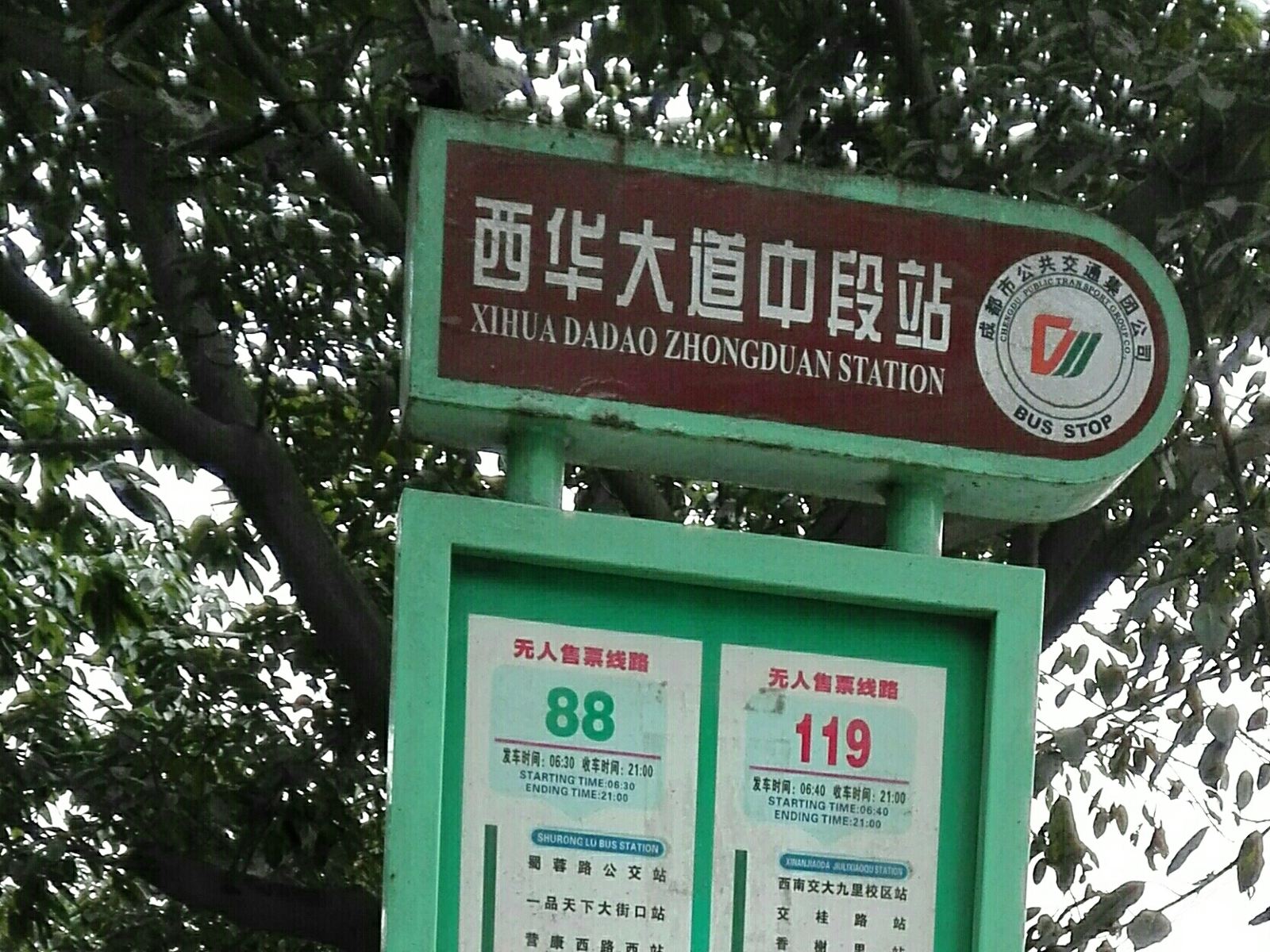 外观