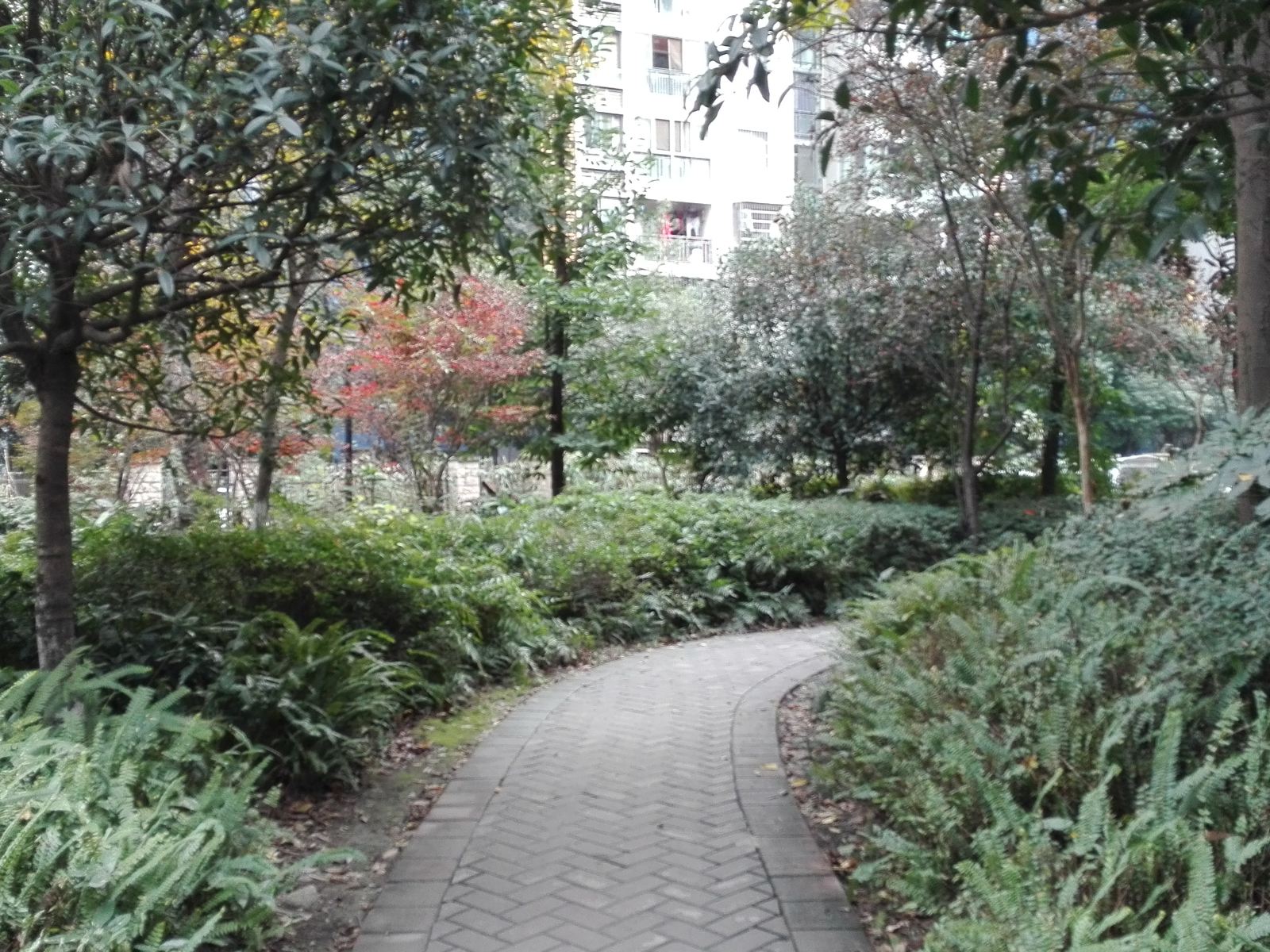 成都爱恋家庭旅馆(府河苑横路分店)