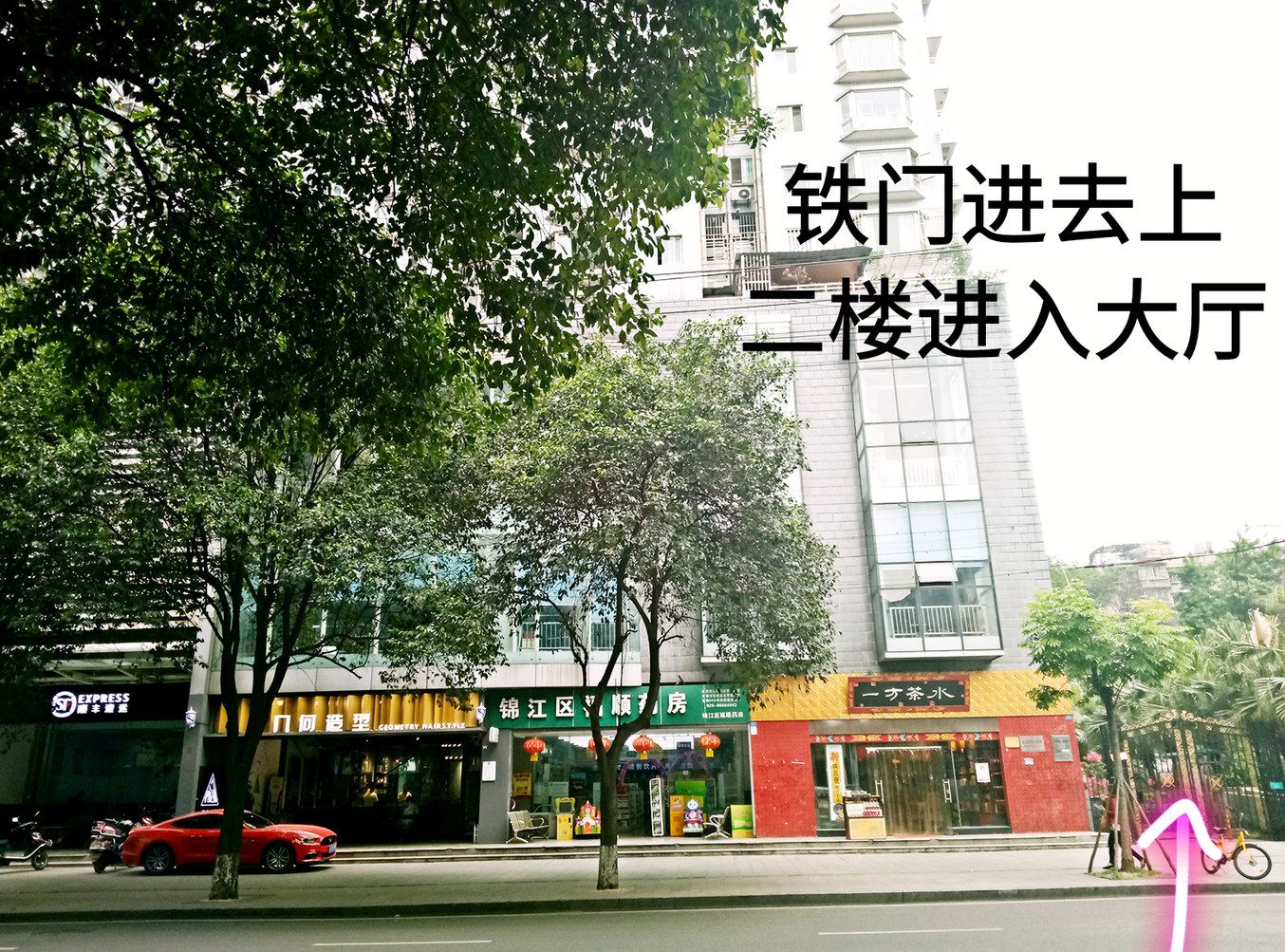 外观