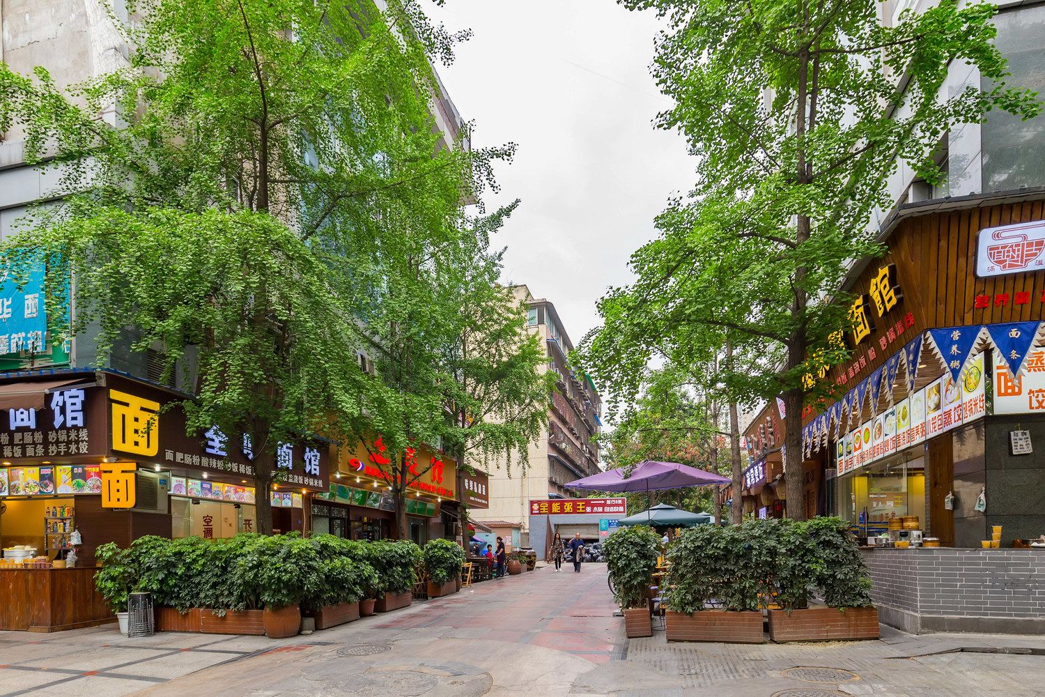 秀美之居公寓NO.2