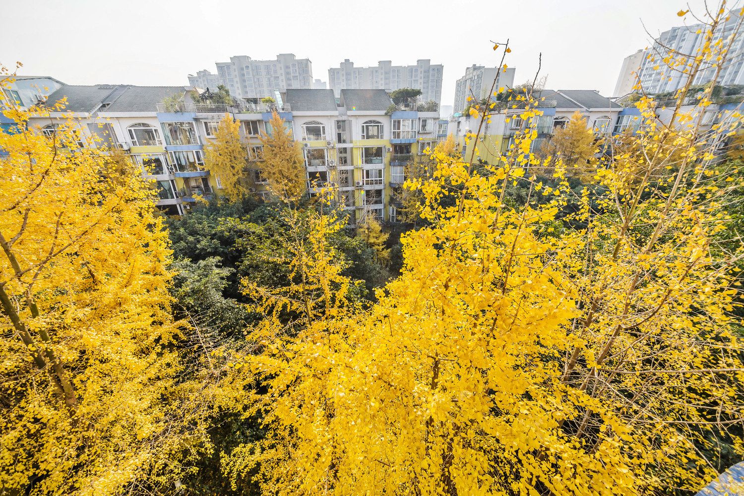 旗帜精品民宿NO.9