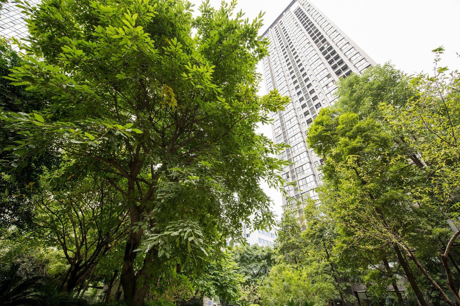 成都琴妹子公寓
