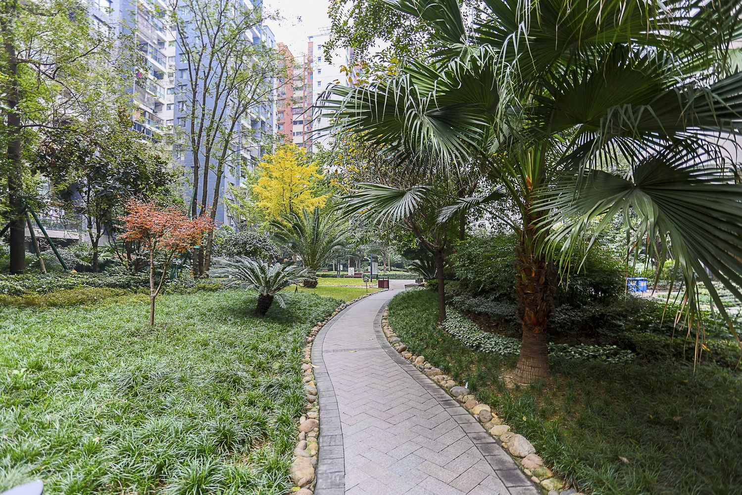 成都阿顾公寓