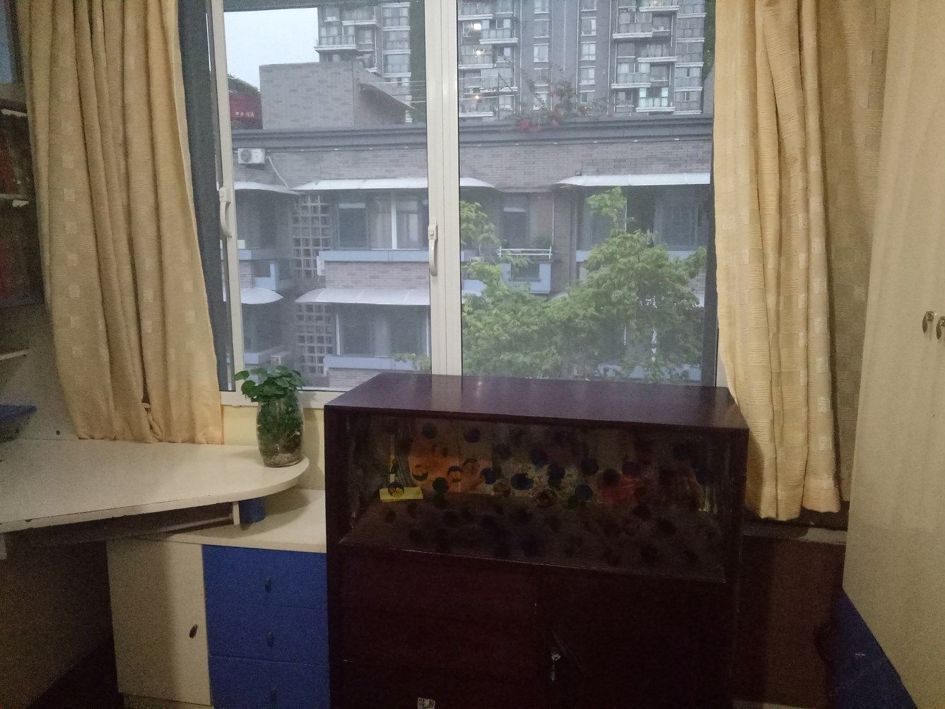 其他