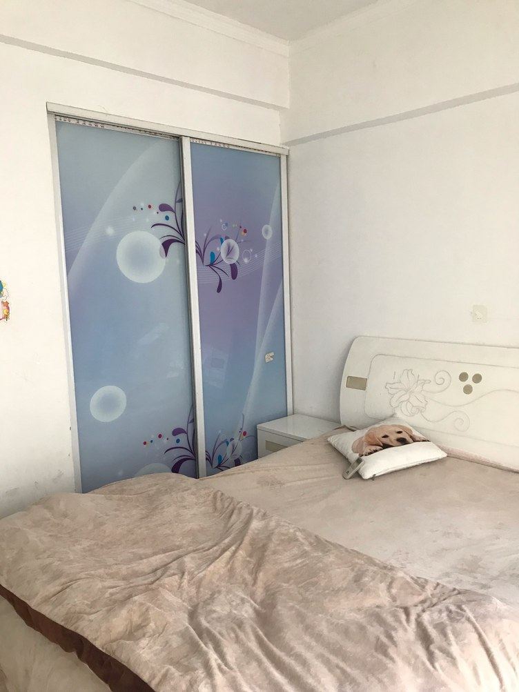 一室一厅套房