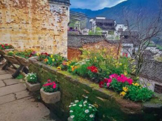 婺源的旅行_八月婺源旅游_去婺源旅行跟团