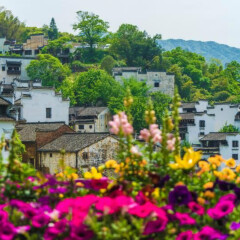 景点模块 