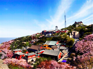 山东五天跟团旅游_去山东旅行网_山东七日游