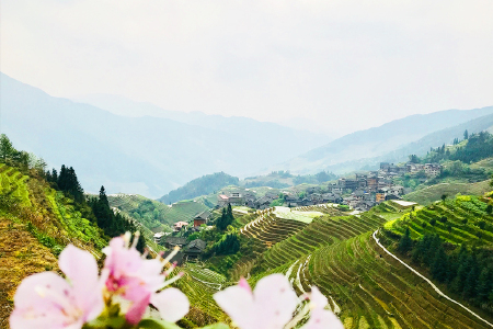 景点模块 
