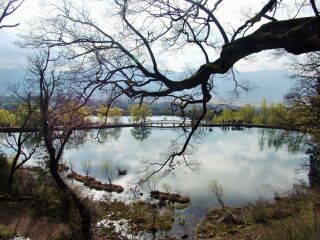 云南麗江自由行還是跟團(tuán)好_旅行團(tuán)云南麗江游_云南麗江旅行團(tuán)旅游報價