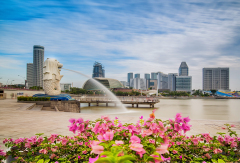 景点模块 