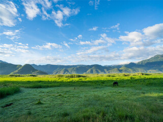 去香格里拉跟团游_香格里拉10日游具体线路_旅游到香格里拉