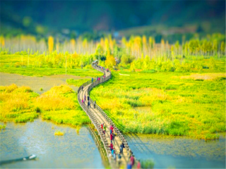 报团到丽江旅游_丽江最佳旅游路线_去丽江旅游十一天要多少钱