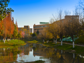 云南麗江游 旅行團(tuán)_云南麗江旅游團(tuán)_云南麗江旅游多少錢一個(gè)人