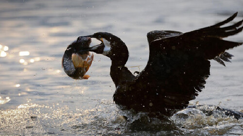深圳北-桂林-阳朔3晚4日