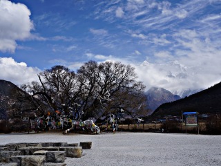 豪华西藏旅游_到西藏的旅游费用_六日西藏游