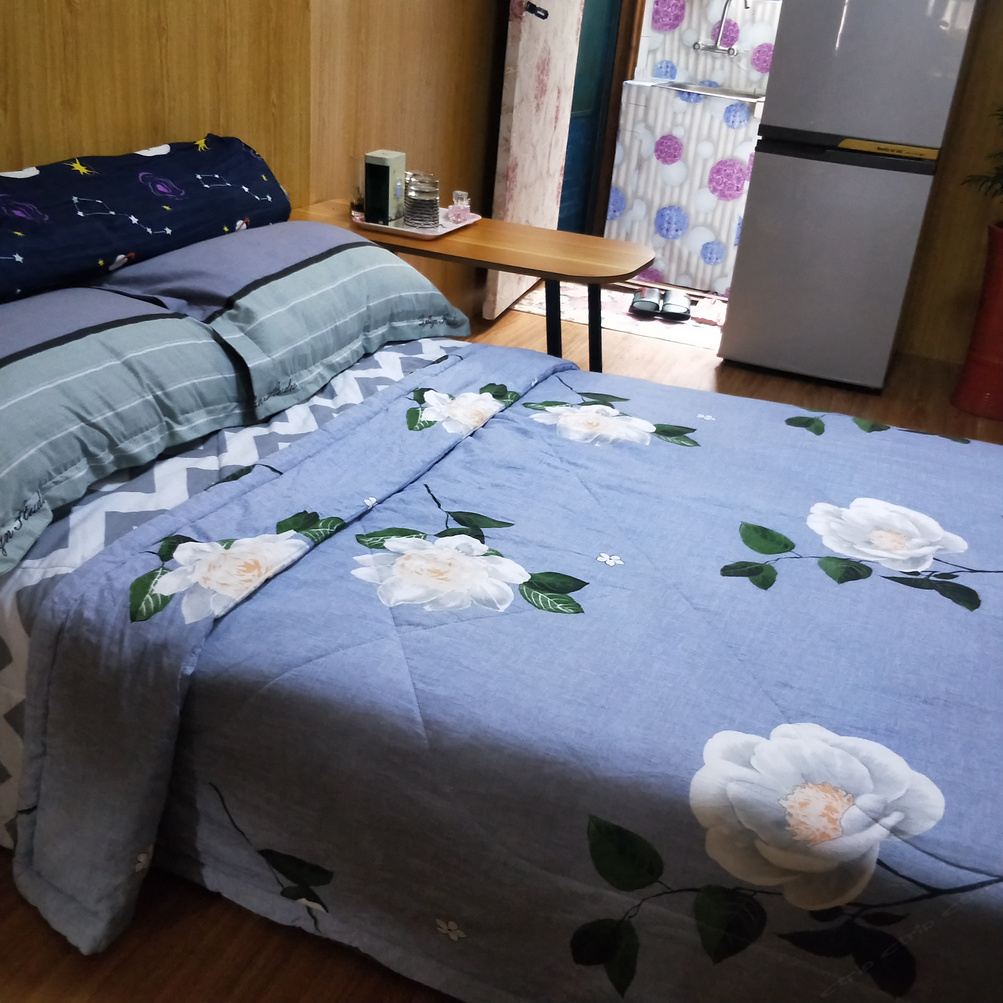 复式一室一厅套房