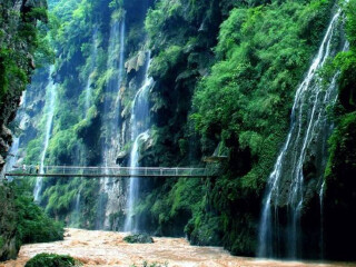 罗平油菜花旅游人次_多少钱罗平油菜花旅游_罗平油菜花著名旅游