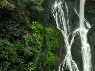 罗平油菜花旅游人次_多少钱罗平油菜花旅游_罗平油菜花著名旅游