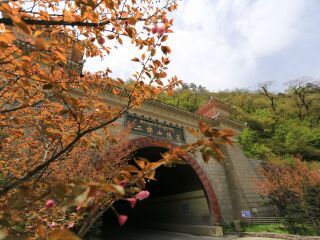 四川最適合旅游的季節(jié)_四川自由行費用_四川自由行還是跟團好