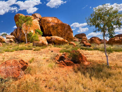 西麦克唐纳山脉英文徒步一日游(爱丽丝泉往返