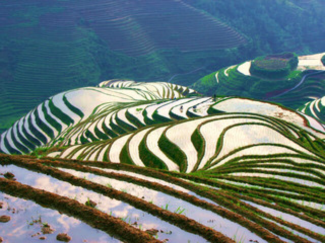 深圳北-桂林-阳朔3晚4日