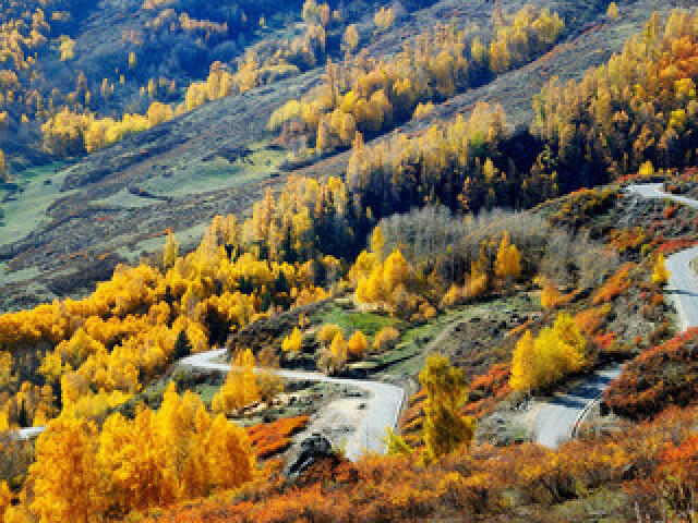 乌鲁木齐-北屯市-喀纳斯4晚5日