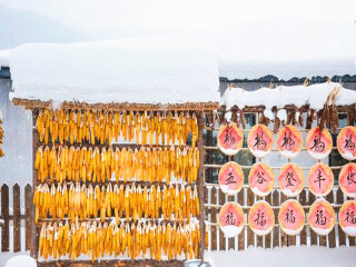 哈爾濱特價旅游團報價_哈爾濱旅游最佳路線_哈爾濱自由行組團