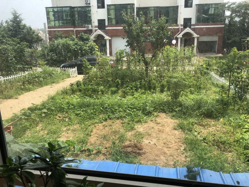 威海孙先生度假别墅(长江路分店)