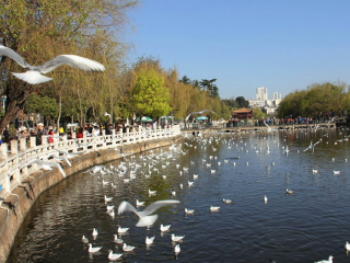 去云南旅游线路_纯云南旅游_云南旅游云南旅游
