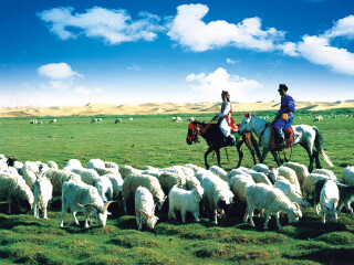 壩上草原旅游最佳路線_壩上草原旅游一次多少錢_壩上草原跟團(tuán)還是自由行