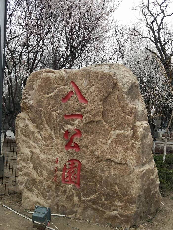 【首发】八一公园的早晨