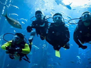 海南三亞旅游組團_海南三亞旅游價格多少跟團_深圳特價海南三亞游