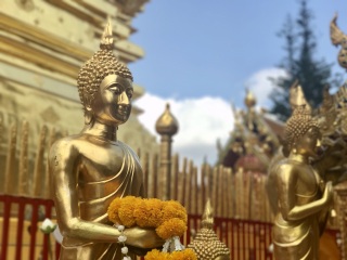 清迈旅游清迈_清迈双人十一日游_清迈旅游签证费用