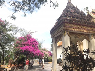 清迈旅游清迈_清迈双人十一日游_清迈旅游签证费用