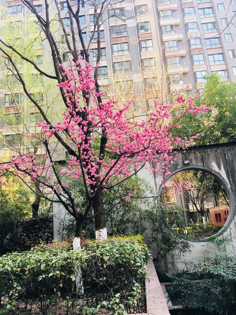 西安西安橙子温馨浪漫屋公寓(南寨子村分店)