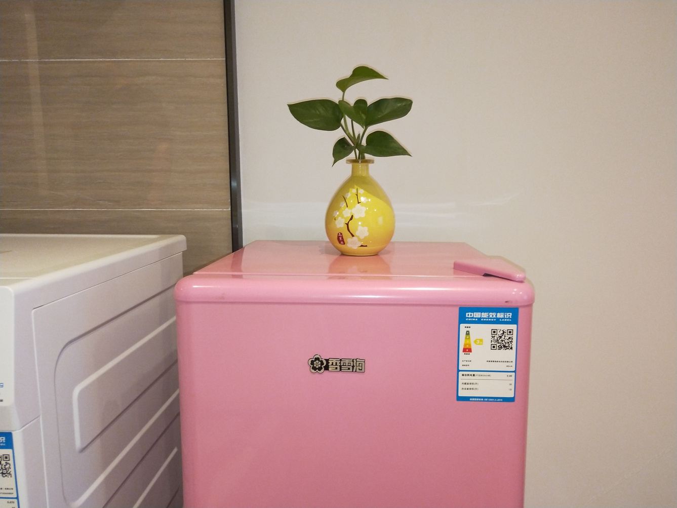苏州Rose小姐的家公寓(6号店)