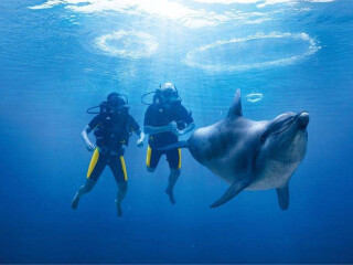 海南三亞旅游組團_海南三亞旅游價格多少跟團_深圳特價海南三亞游