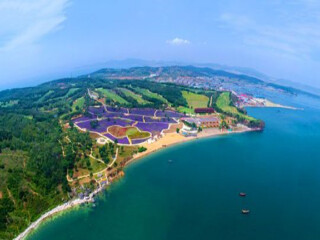山東青島跟團(tuán)還是自由行_跟團(tuán)山東青島旅游價格表_山東青島游報價