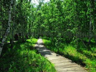 壩上草原旅游最佳路線_壩上草原旅游一次多少錢_壩上草原跟團(tuán)還是自由行