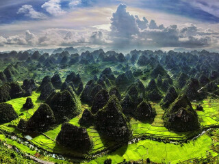 罗平油菜花旅游人次_多少钱罗平油菜花旅游_罗平油菜花著名旅游