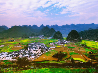 罗平油菜花旅游人次_多少钱罗平油菜花旅游_罗平油菜花著名旅游