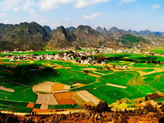 罗平油菜花旅游人次_多少钱罗平油菜花旅游_罗平油菜花著名旅游