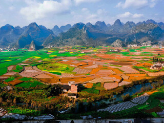罗平油菜花旅游人次_多少钱罗平油菜花旅游_罗平油菜花著名旅游