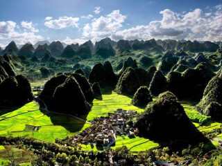 罗平油菜花旅游人次_多少钱罗平油菜花旅游_罗平油菜花著名旅游