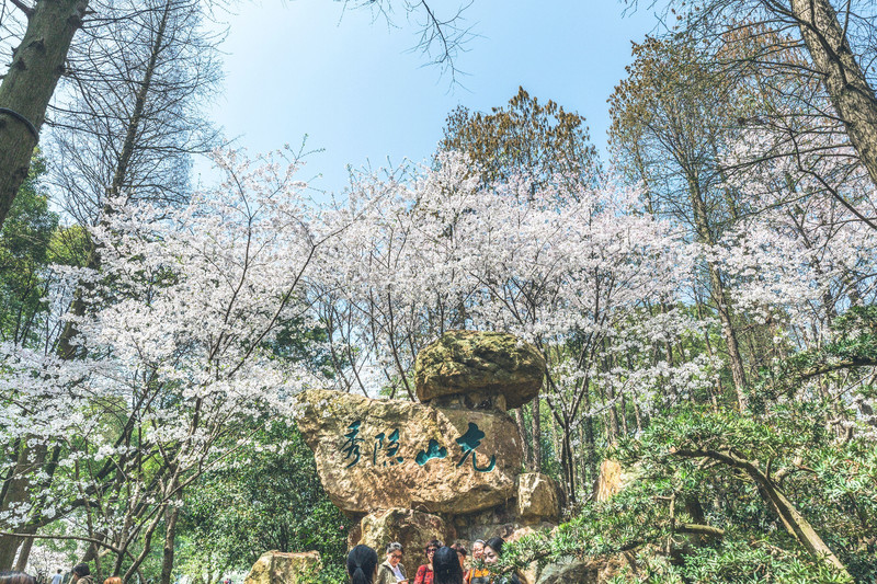 充山隐秀